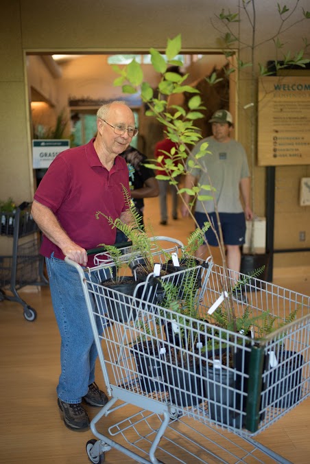 Plant Sale Man 2017.jpg