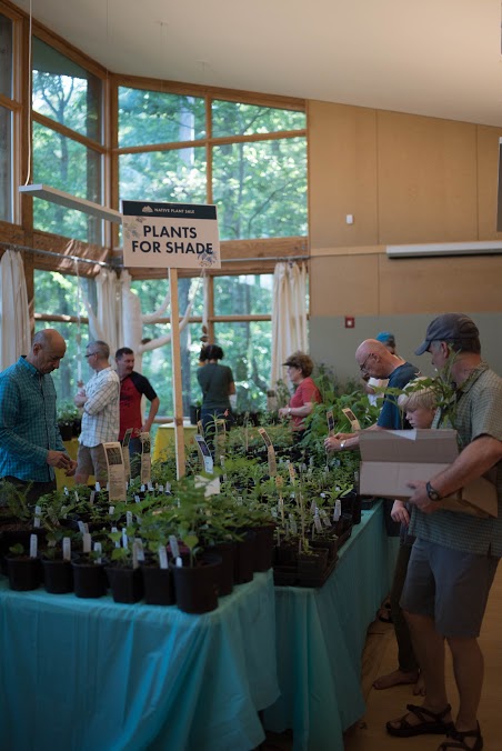 Plant Sale Shoppers II.jpg