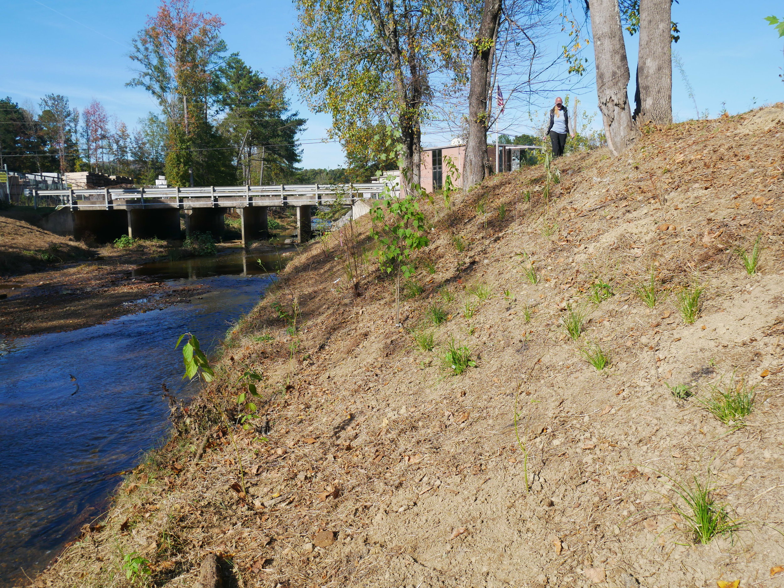 Shades Creek Restoration VI.JPG