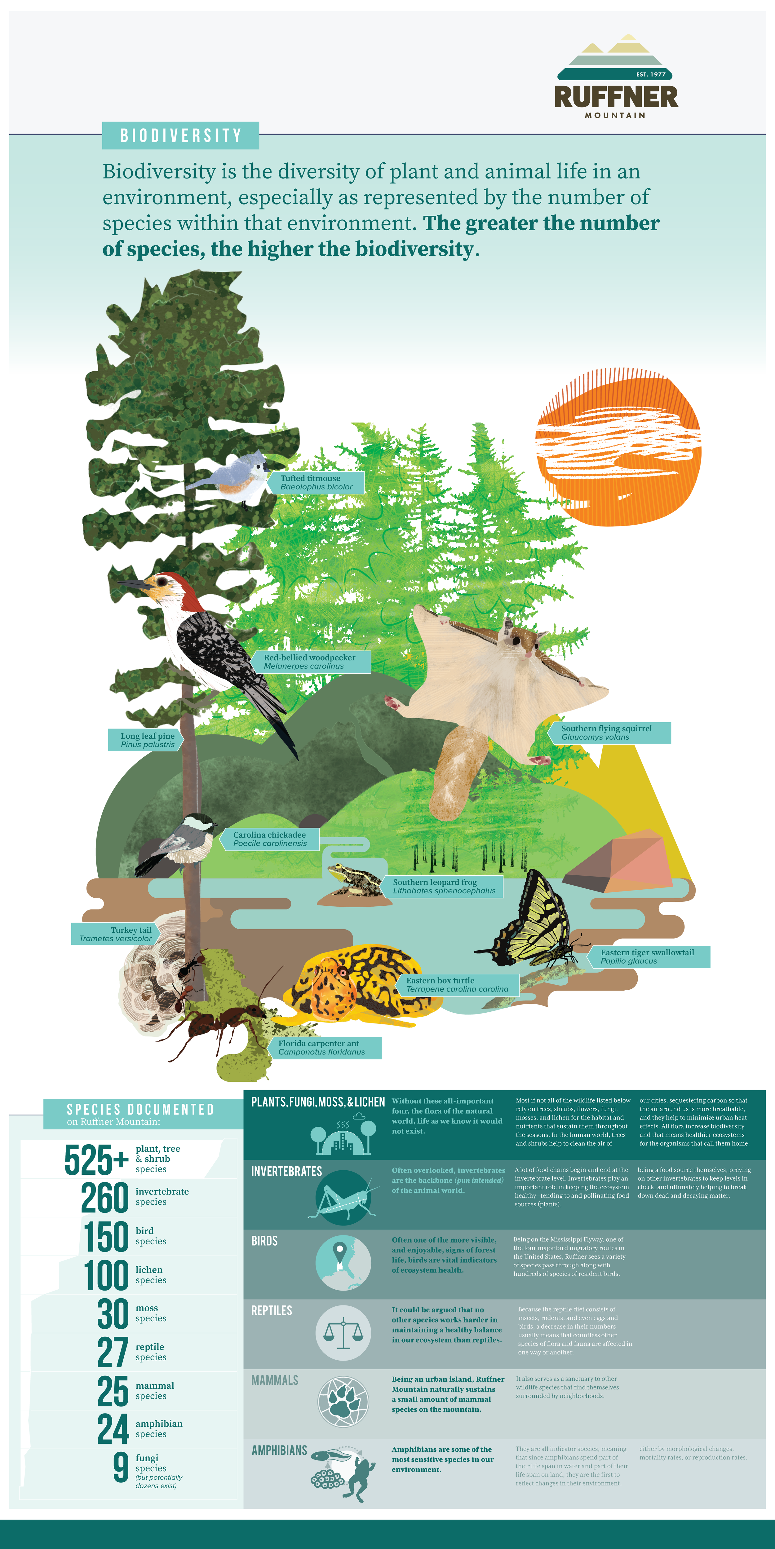 Want to learn more? Click below for community generated species lists of Ruffner's flora and fauna at iNaturlist.org! Flora of Ruffner Mountain Fauna of Ruffner Mountain