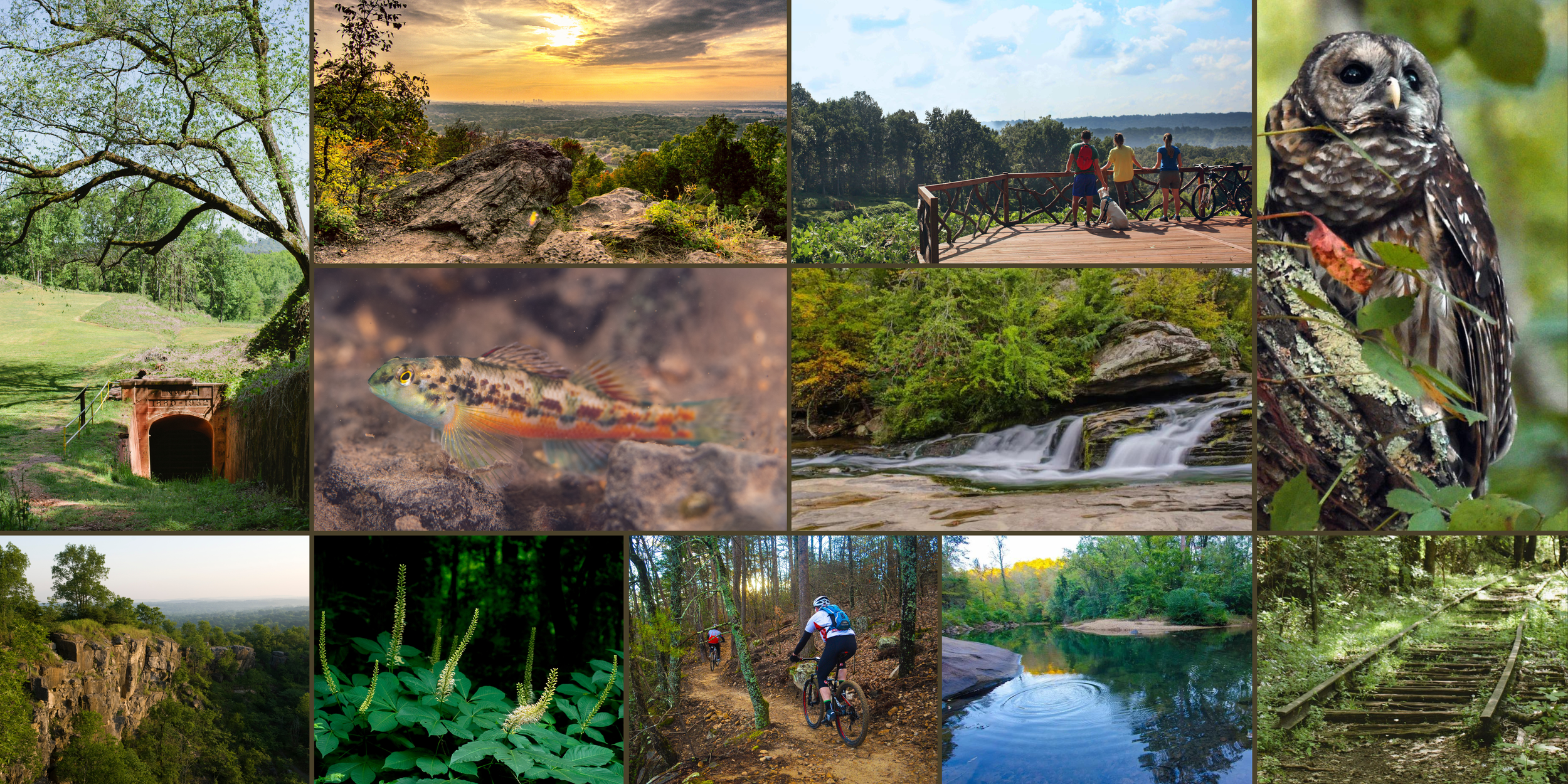 Three Parks Landscape Collage (36 x 18 in) (3).png