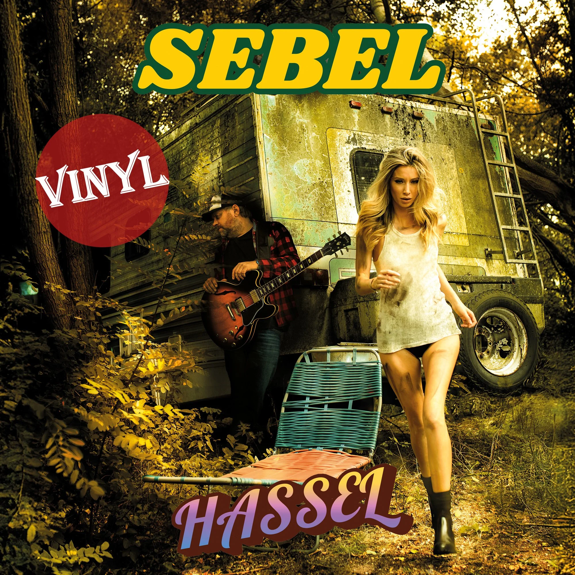 vinyl cover.jpg