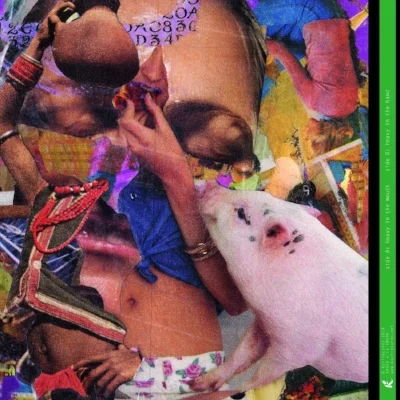 RUNT VIGOR (back) - album collage work by Id M Theft Able