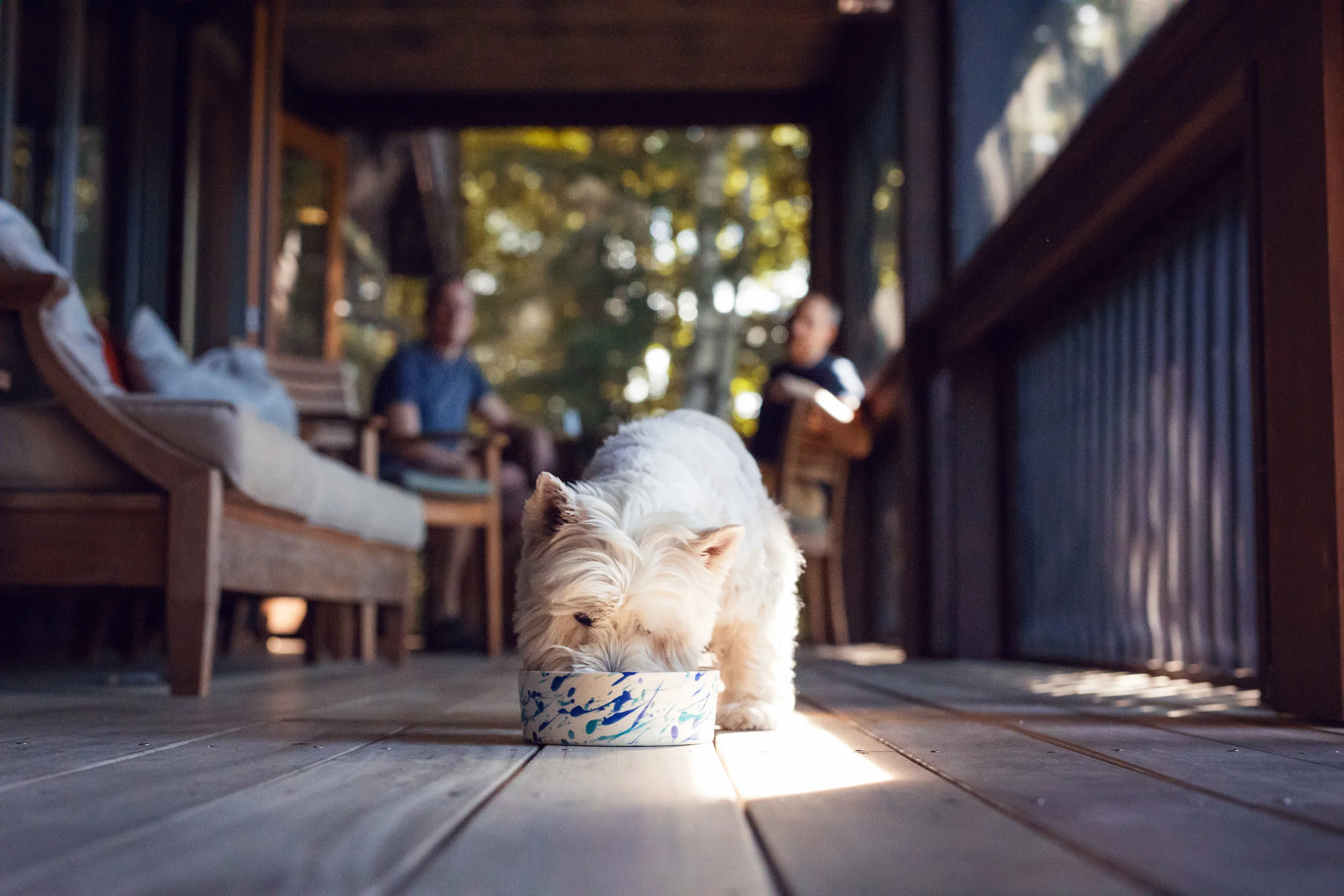 Urban_Dog_Natalie_Siebers_Look_Book-1274ns_web.jpg