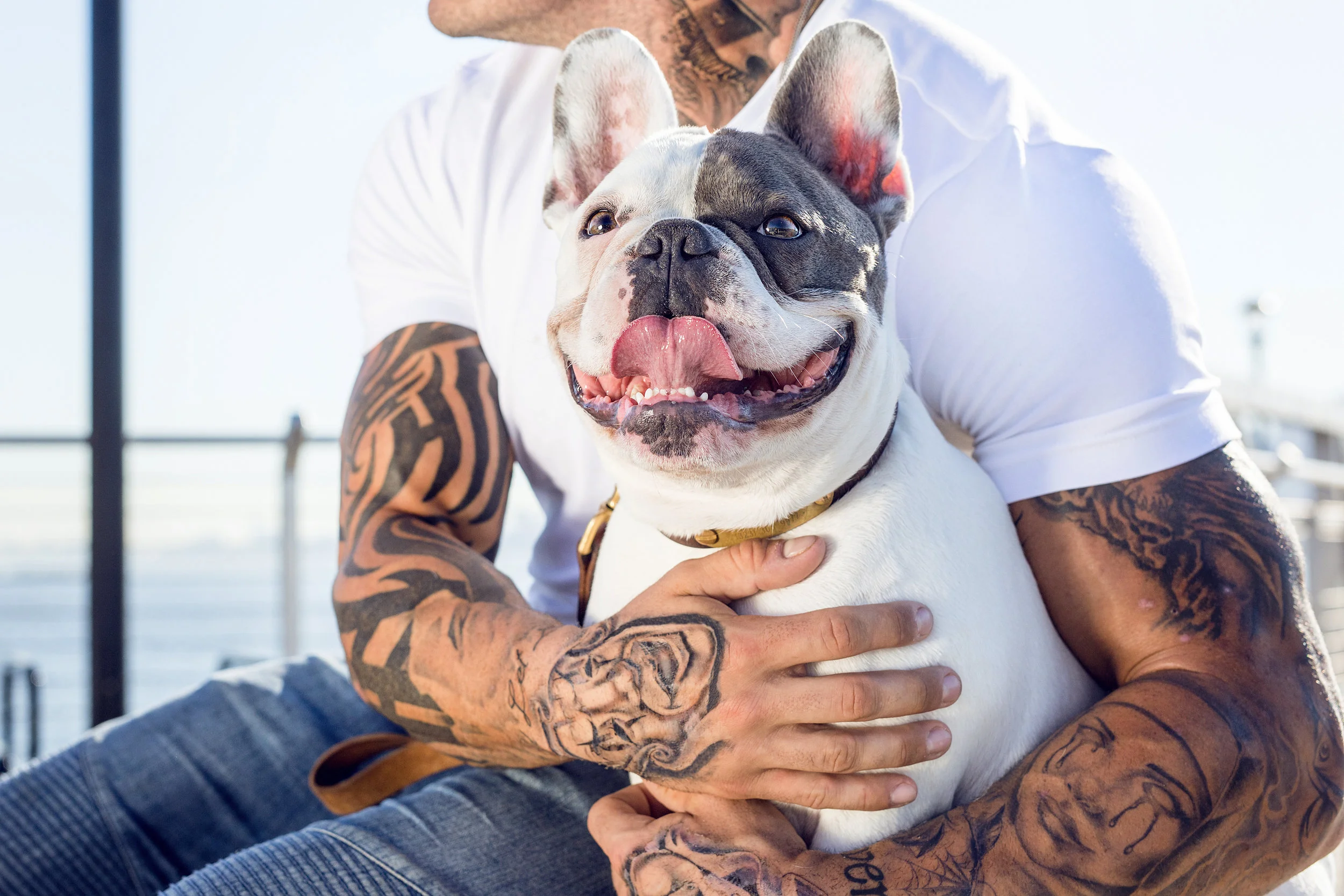 Natalie_Siebers_Justin_Hammy_Frenchie_07_10_2018-3842ns.jpg
