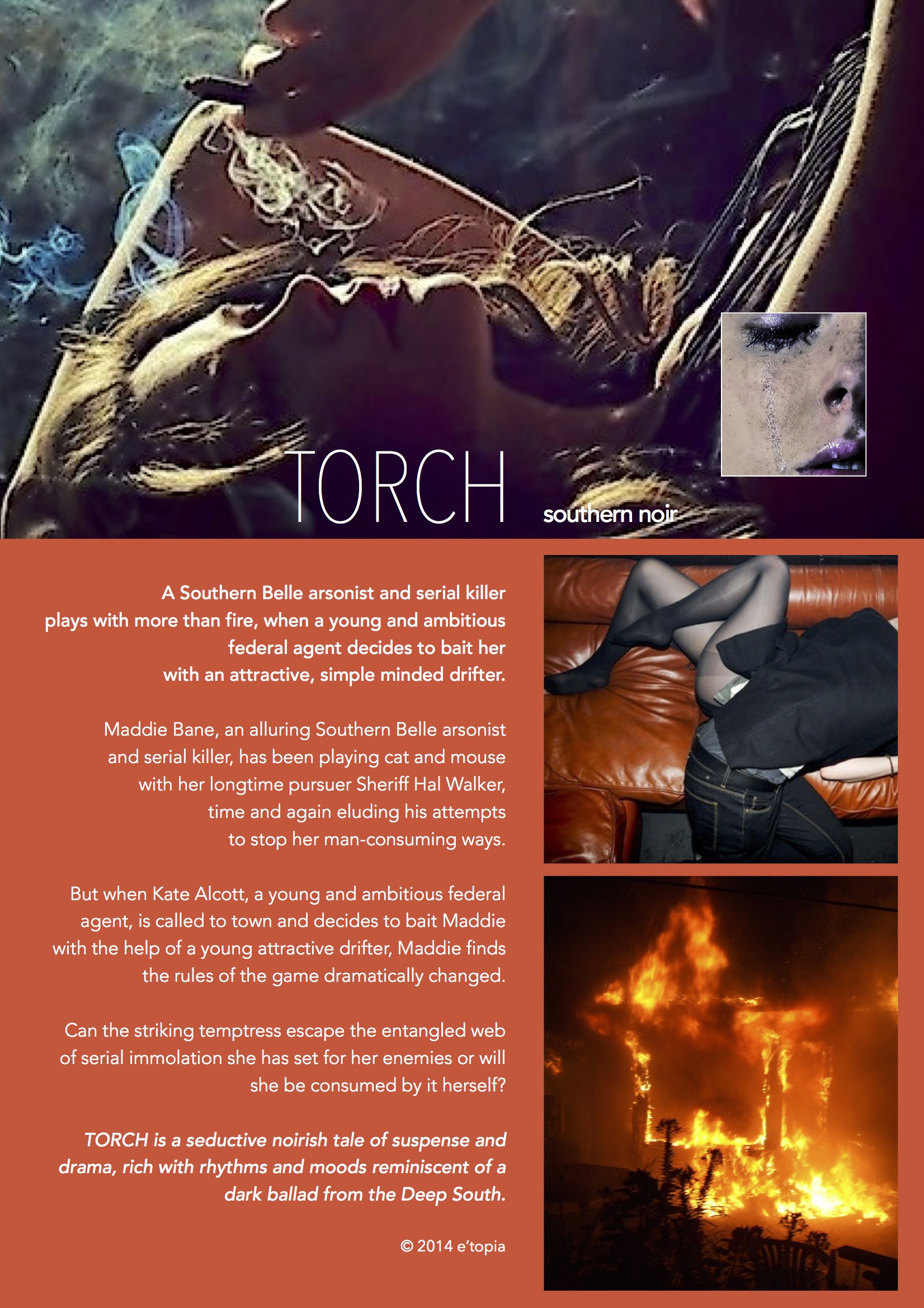 TORCH_pitch C.jpg