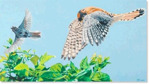 Kestrel and Sparrow 10” x 18” Acrylic 2005