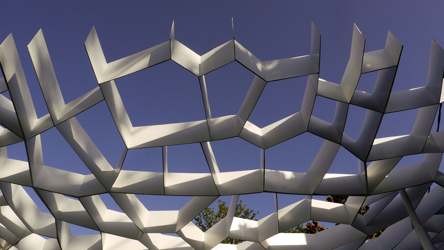 LLL_Leaf_Structure06SSweb.jpg