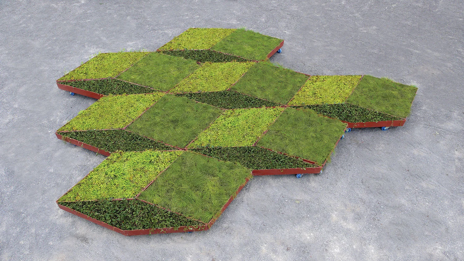 LLL_Fractal_Garden_03_SS.jpg