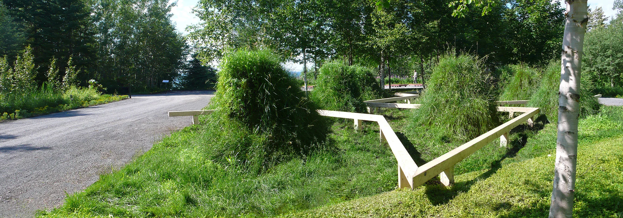 south-view_spring_SS.jpg