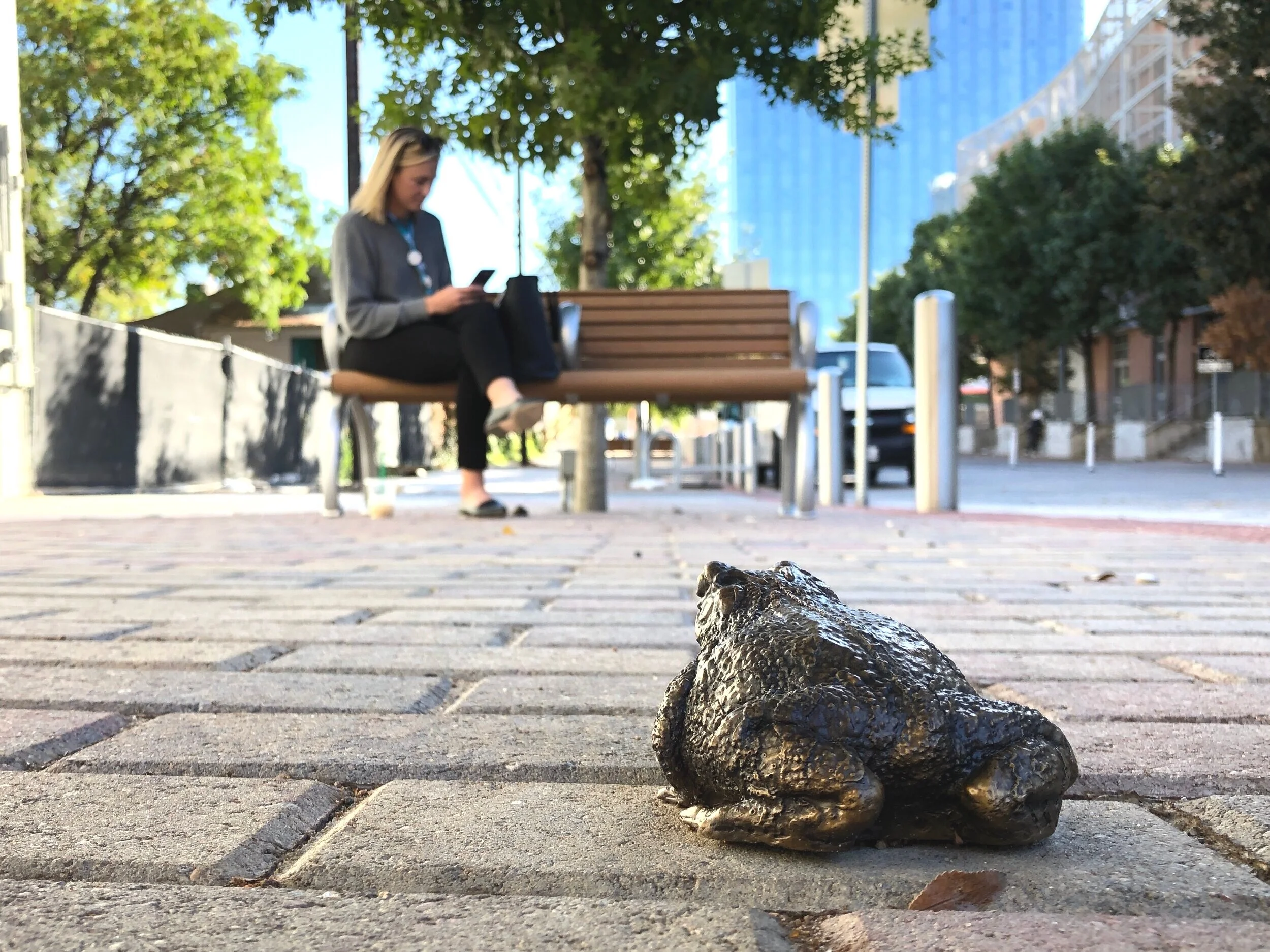 AMPHIBIOUS | 2019 | Austin, Texas