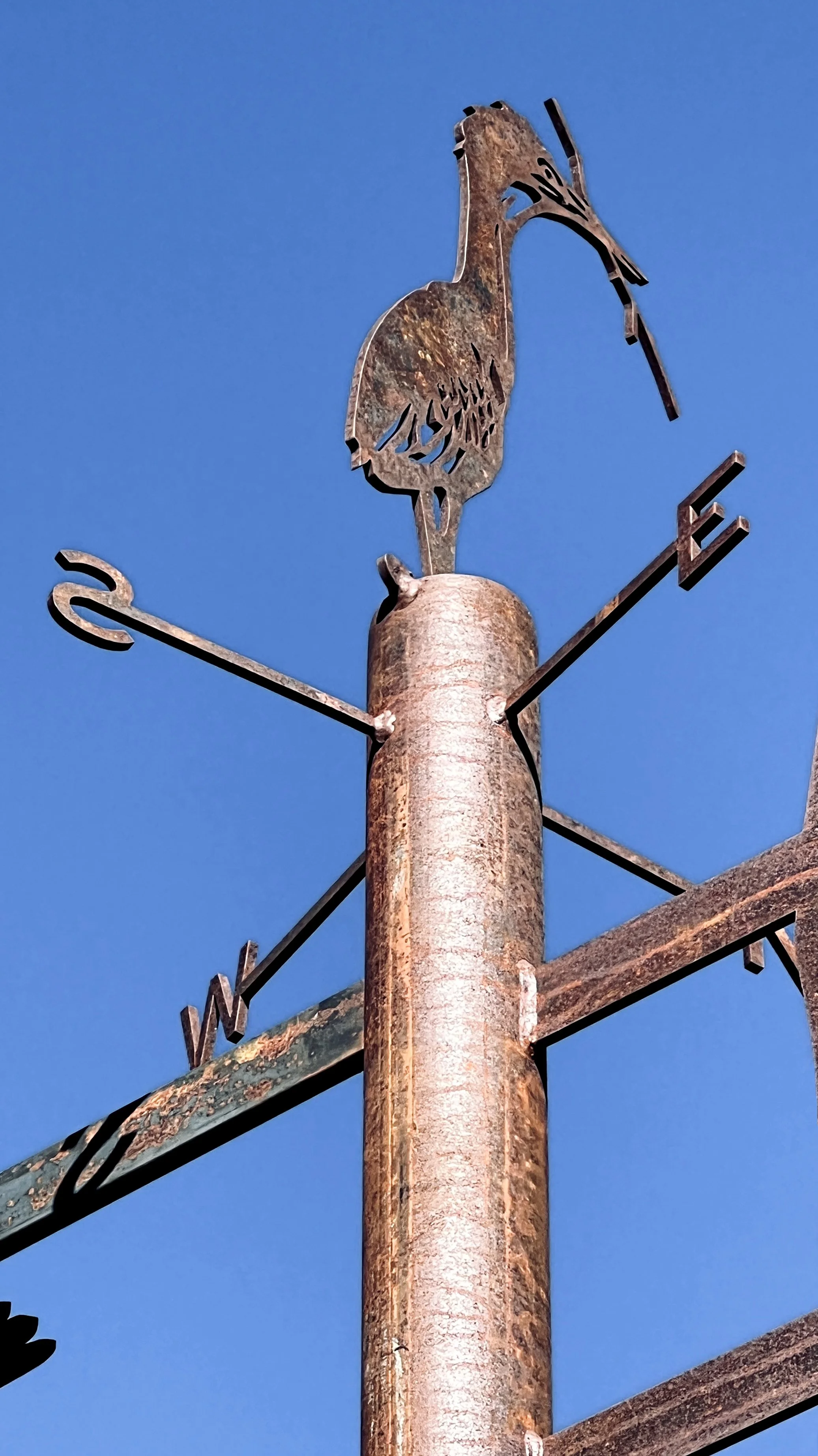 PERCH | 2026 | Marsh Creek Park, Raleigh NC