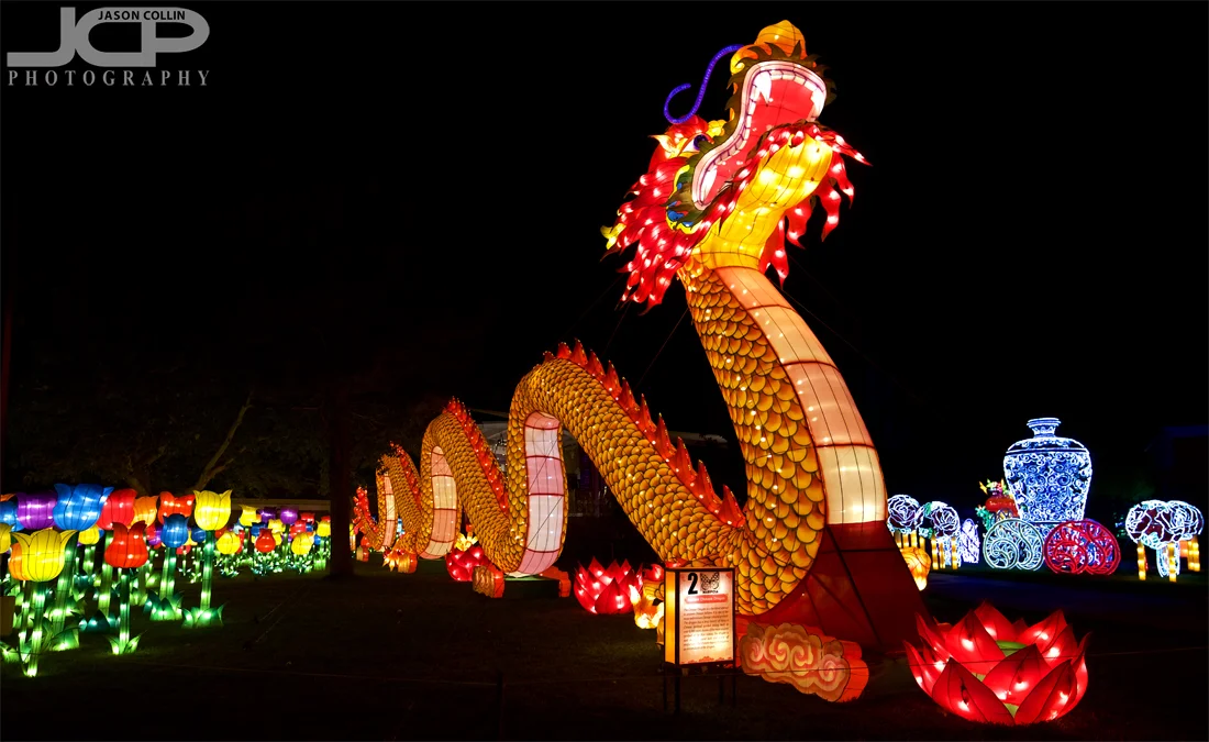 This dragon greets all comers to the New Mexico Chinese Lantern Festival - Nikon D750 with Tamron 15-30mm @ f/4 1/60th ISO 800