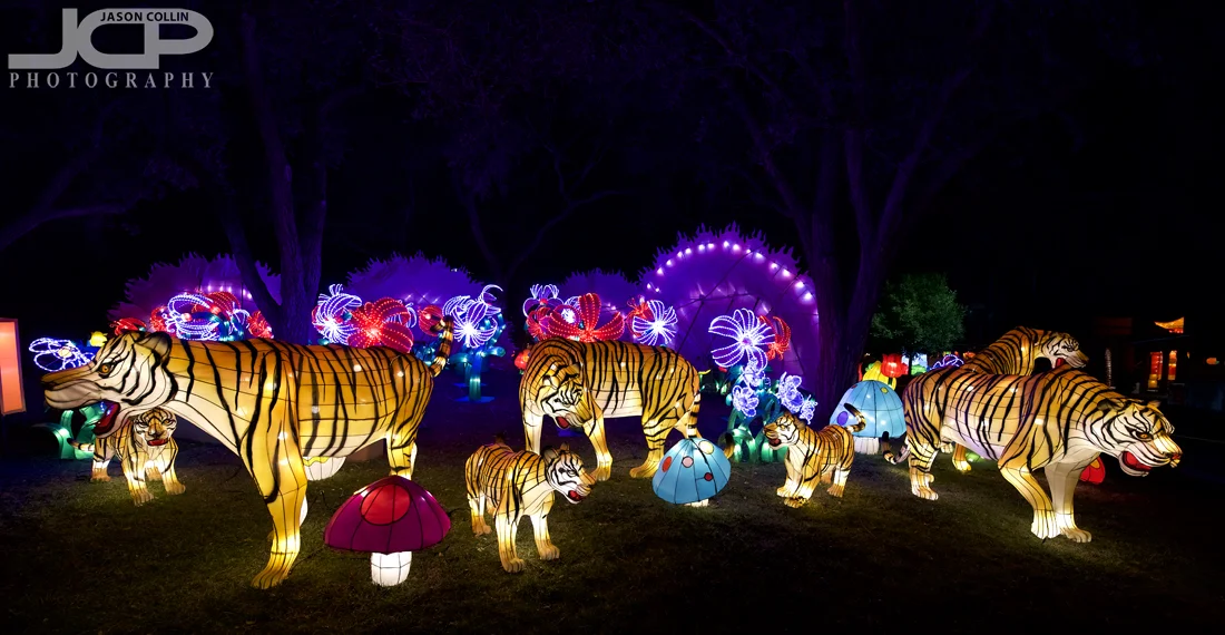 All the animals of the Chinese calendar are present at the Lantern Festival - Nikon D750 with Tamron 15-30m @ f/4 1/60th ISO 800