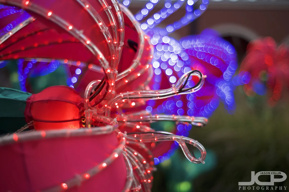 A close-up look at the lights of the Chinese Lantern Festival in Albuquerque, New Mexico - Nikon D750 with Nikkor 50mm f/1.8D @ f/2 1/250th ISO 100