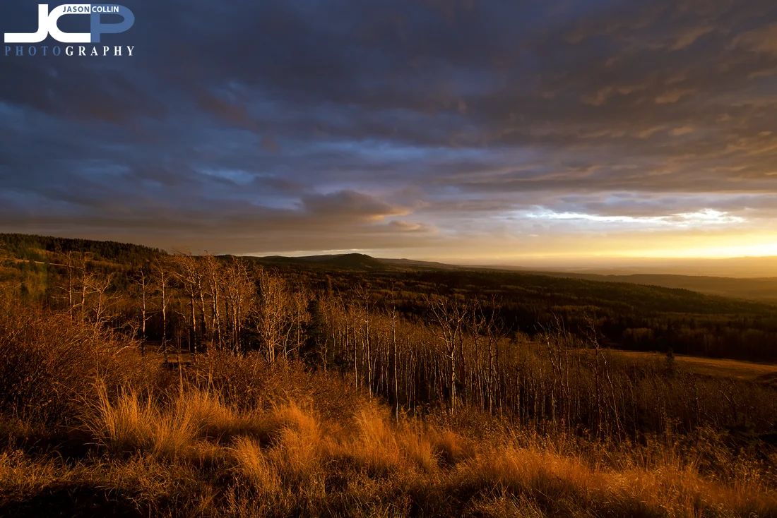 Vivid autumn colors on this mountainside in Rio Arriba County in New Mexico - Nikon D750 with Tamron 15-30mm @ f/11 1/5th ISO 100 tripod mounted