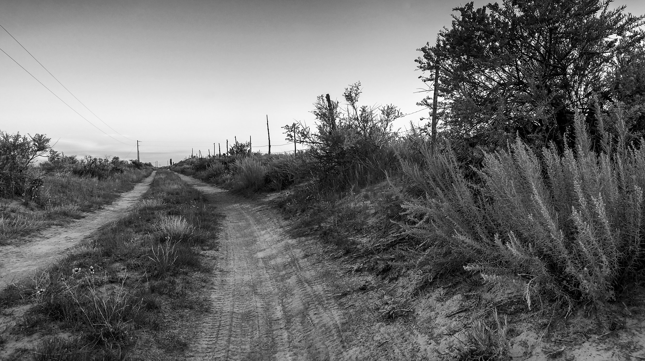 Black White Very Rural Road