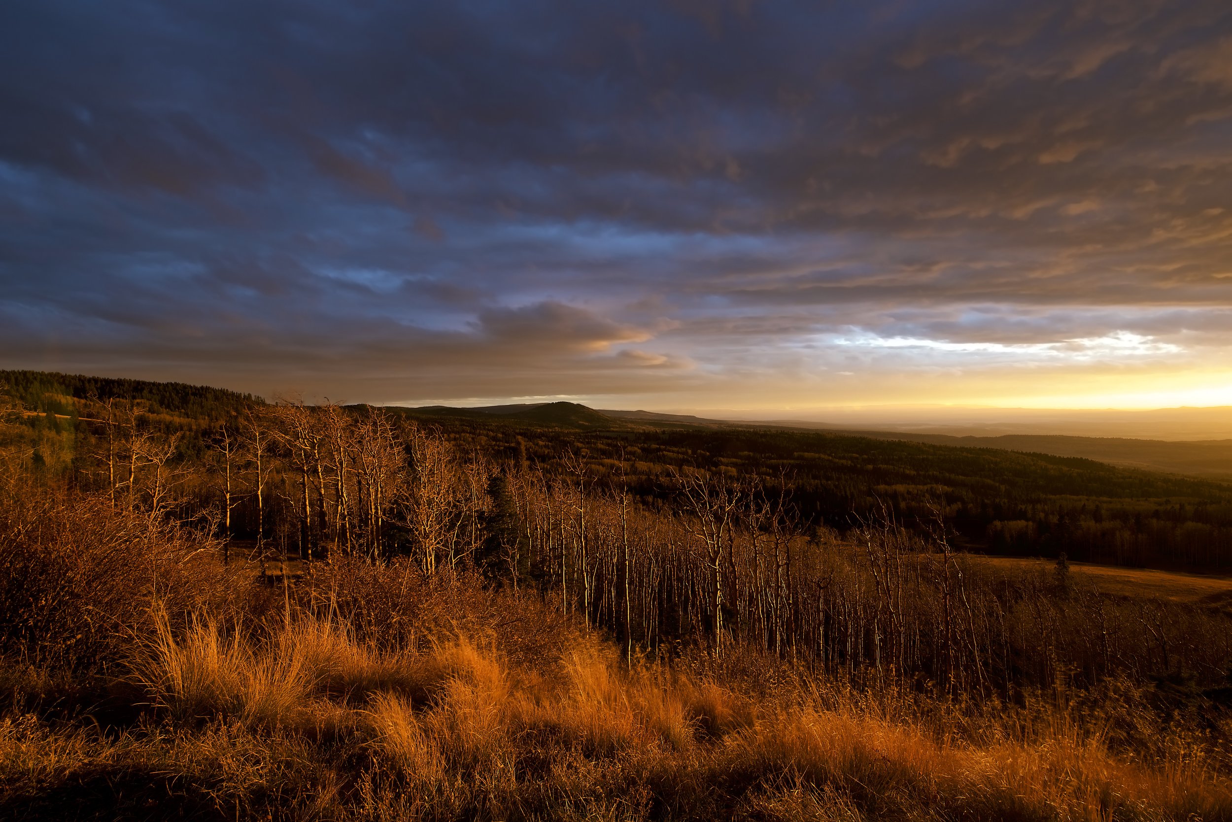 Burned Autumn Hillside