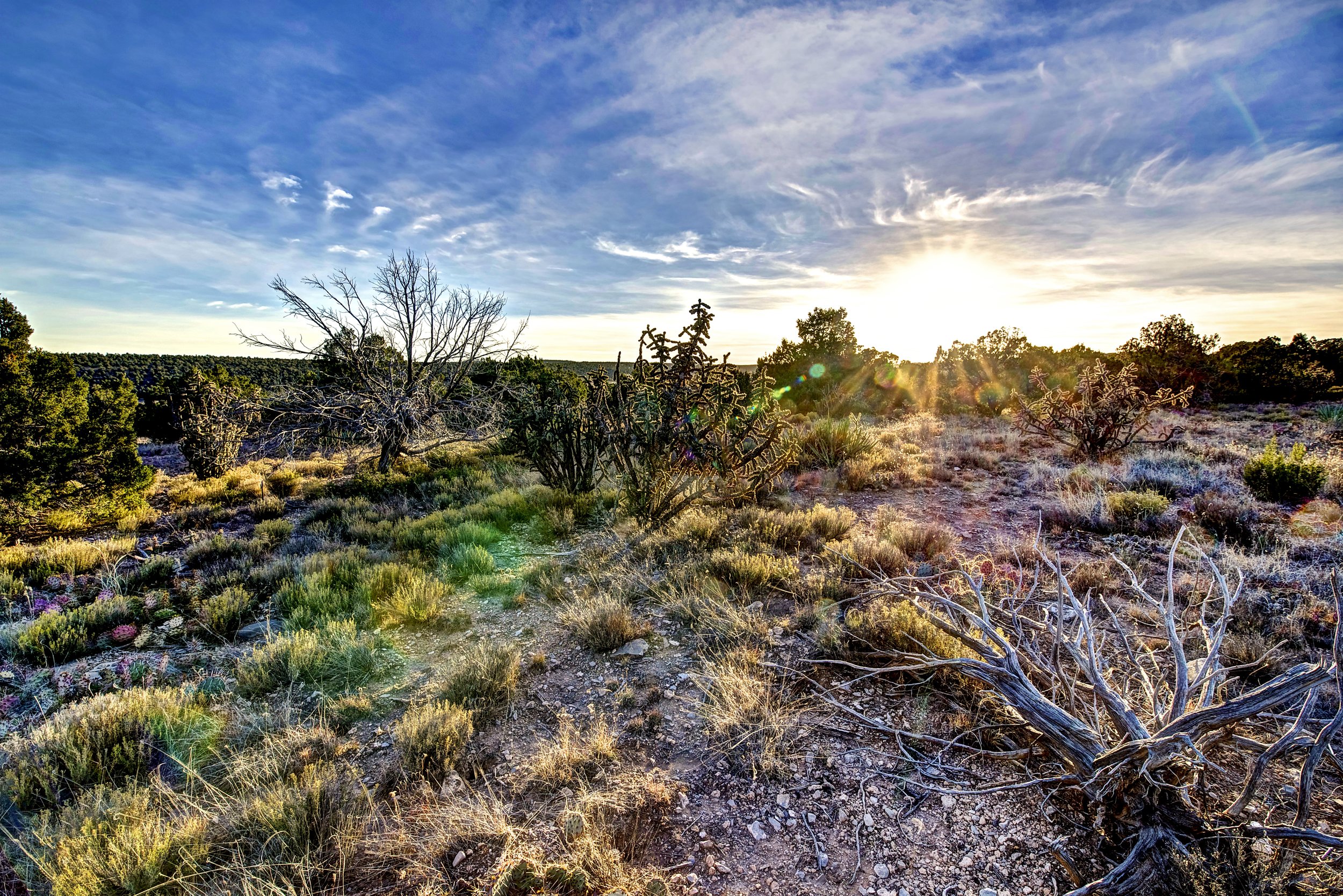 Surreal Santa Fe County Sunset