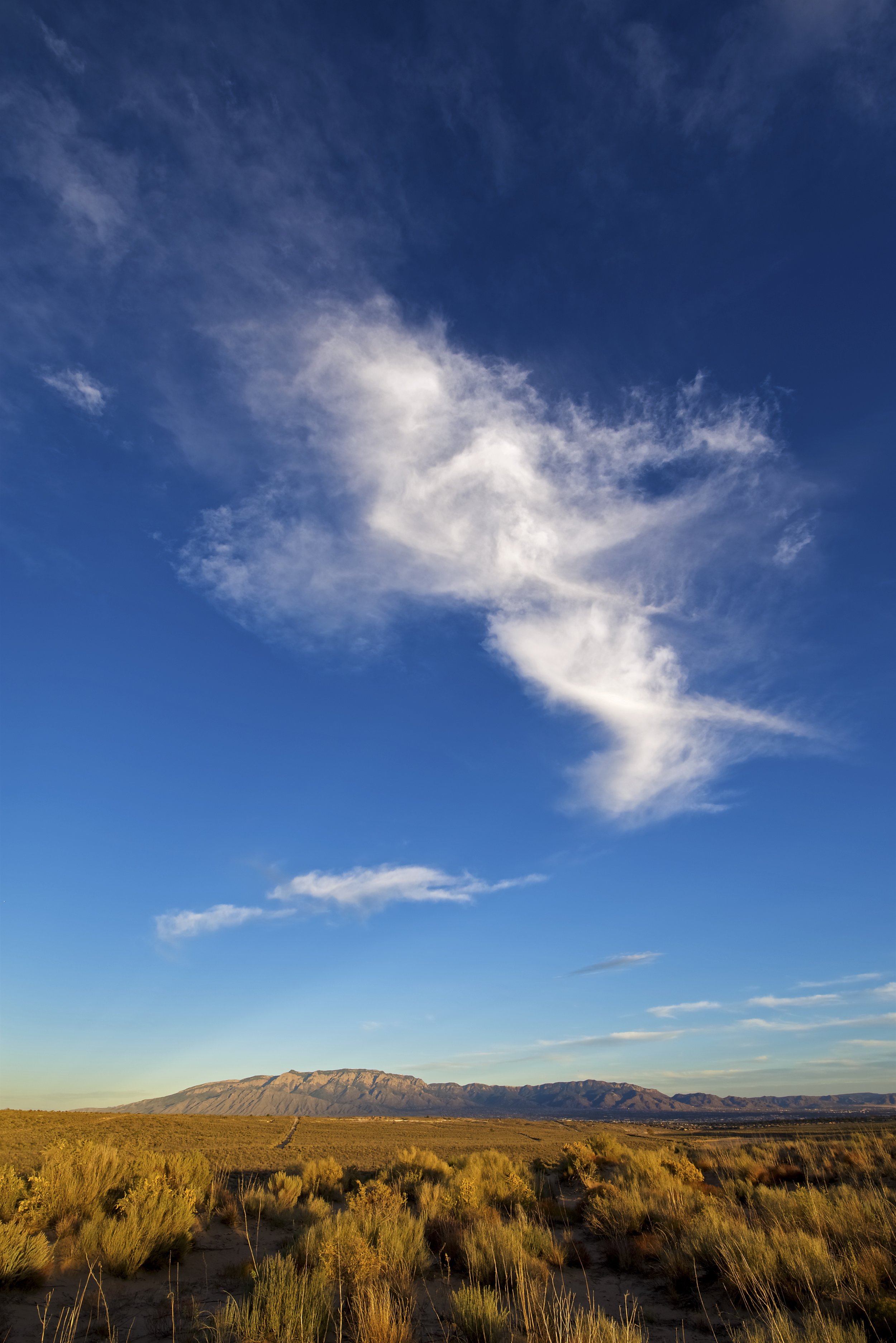 Feather Clouds Sandias