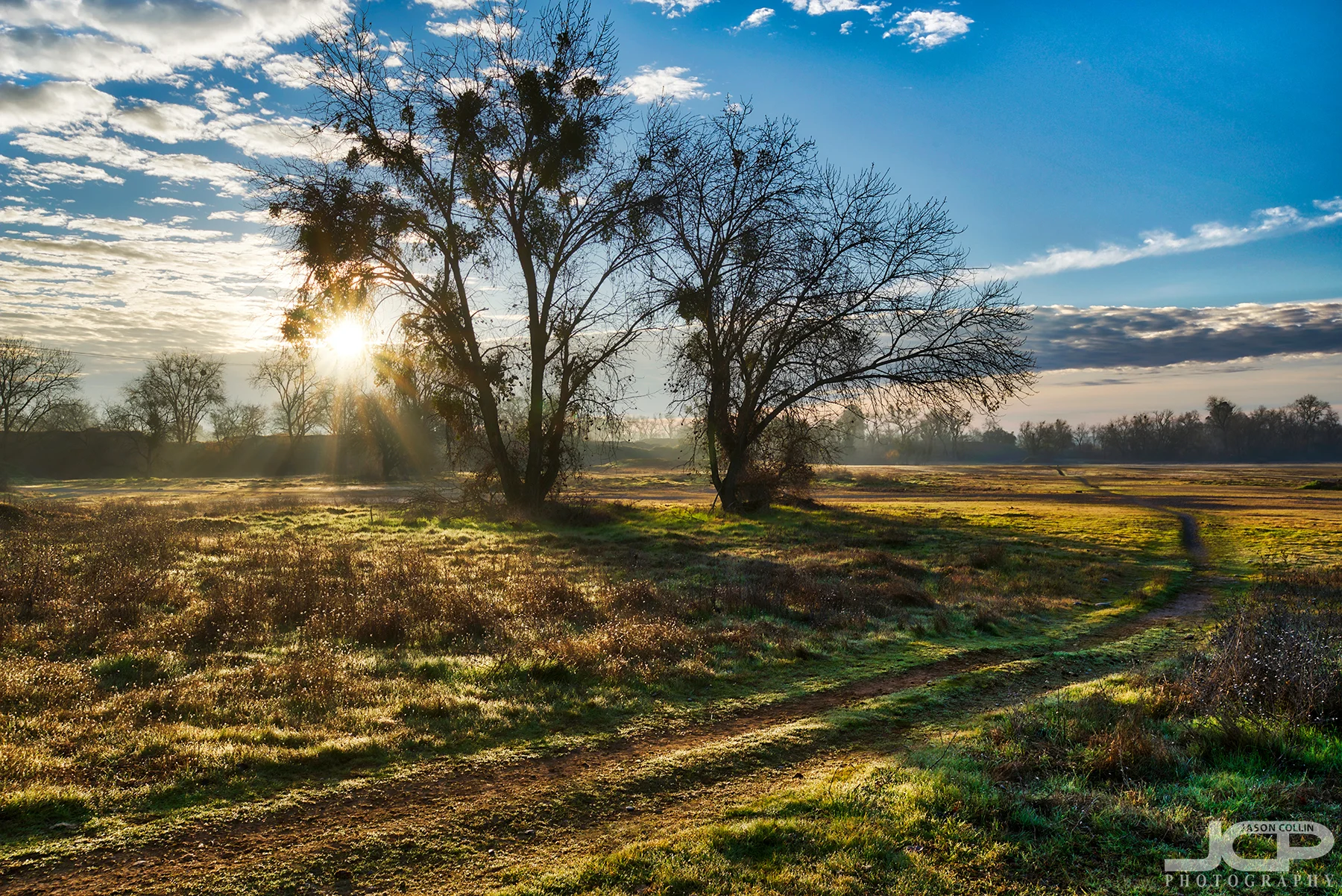 Paths behind horse stables in Sacramento, California during the first sunrise of 2018 - Nikon D750 with Tamron 15-30mm f/2.8 SP tripod mounted 7-bracket HDR