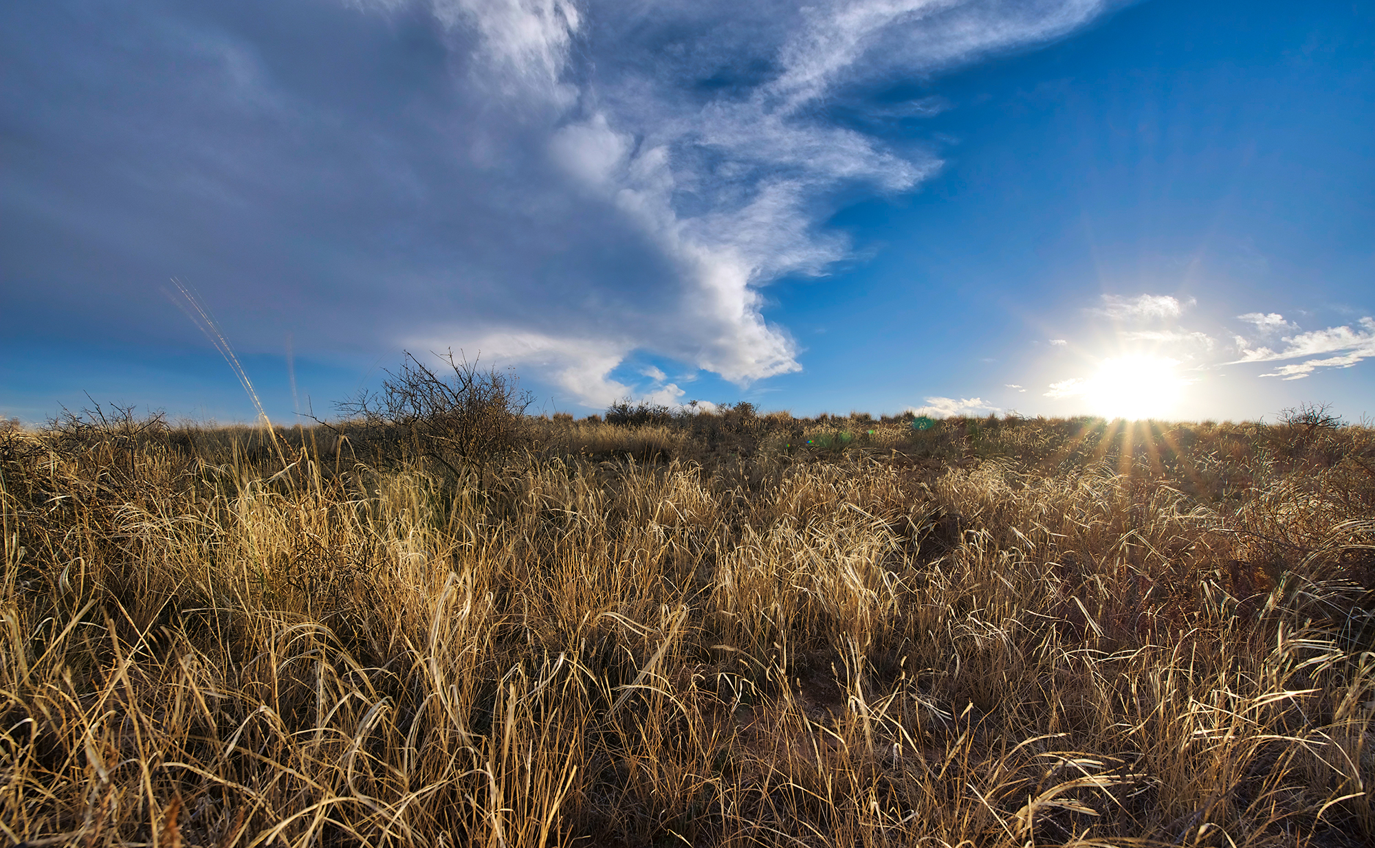 Golden Grass Hill Torrance County 02