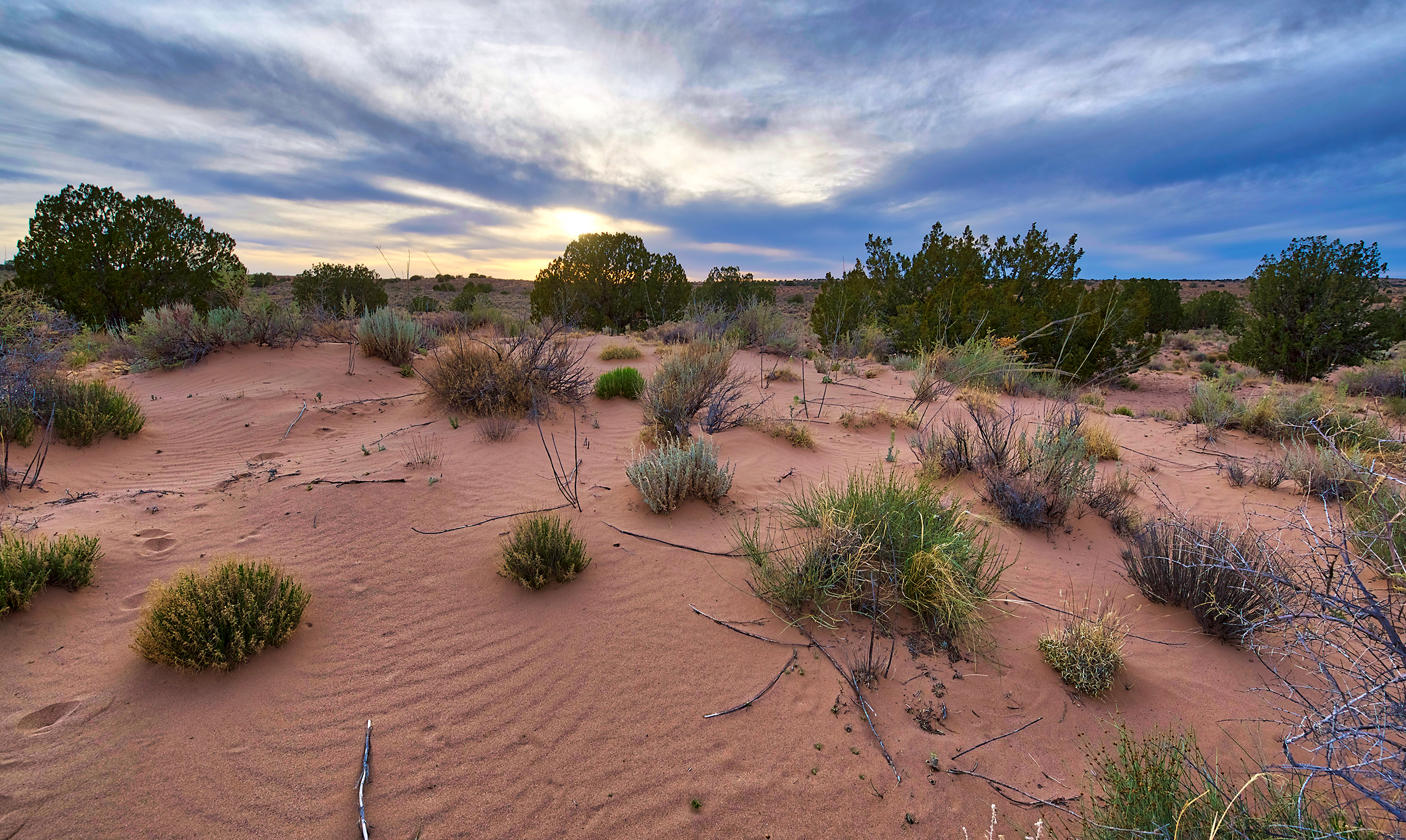 Rio Rancho Sandy Desert