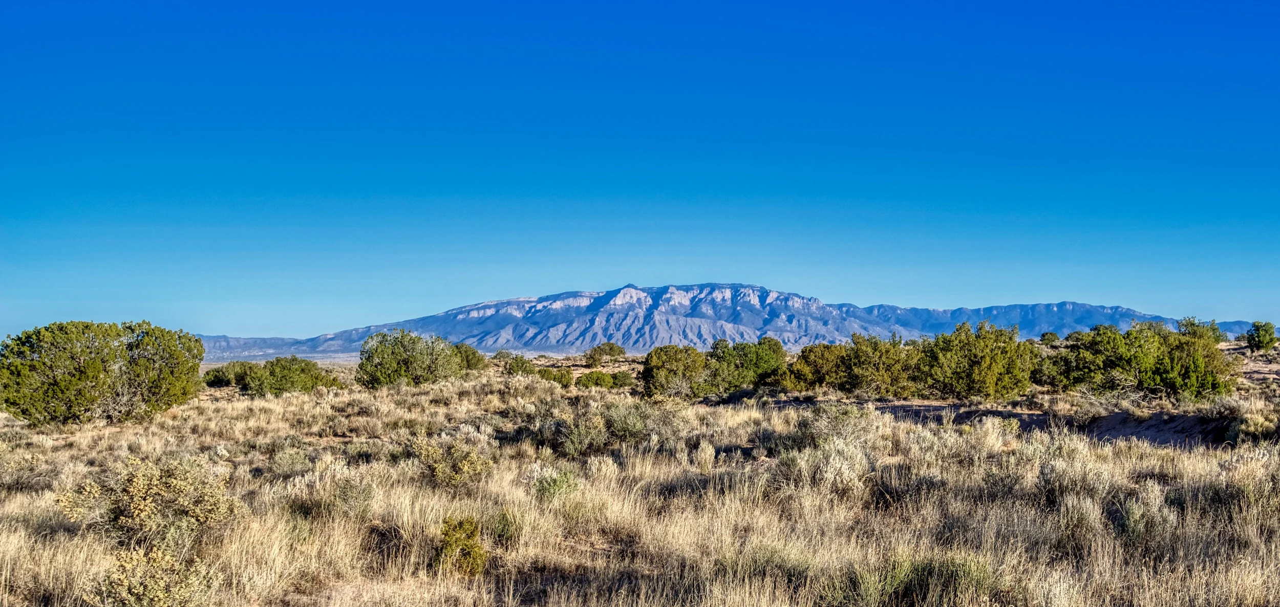 SNNM-0008NO-111568.jpg