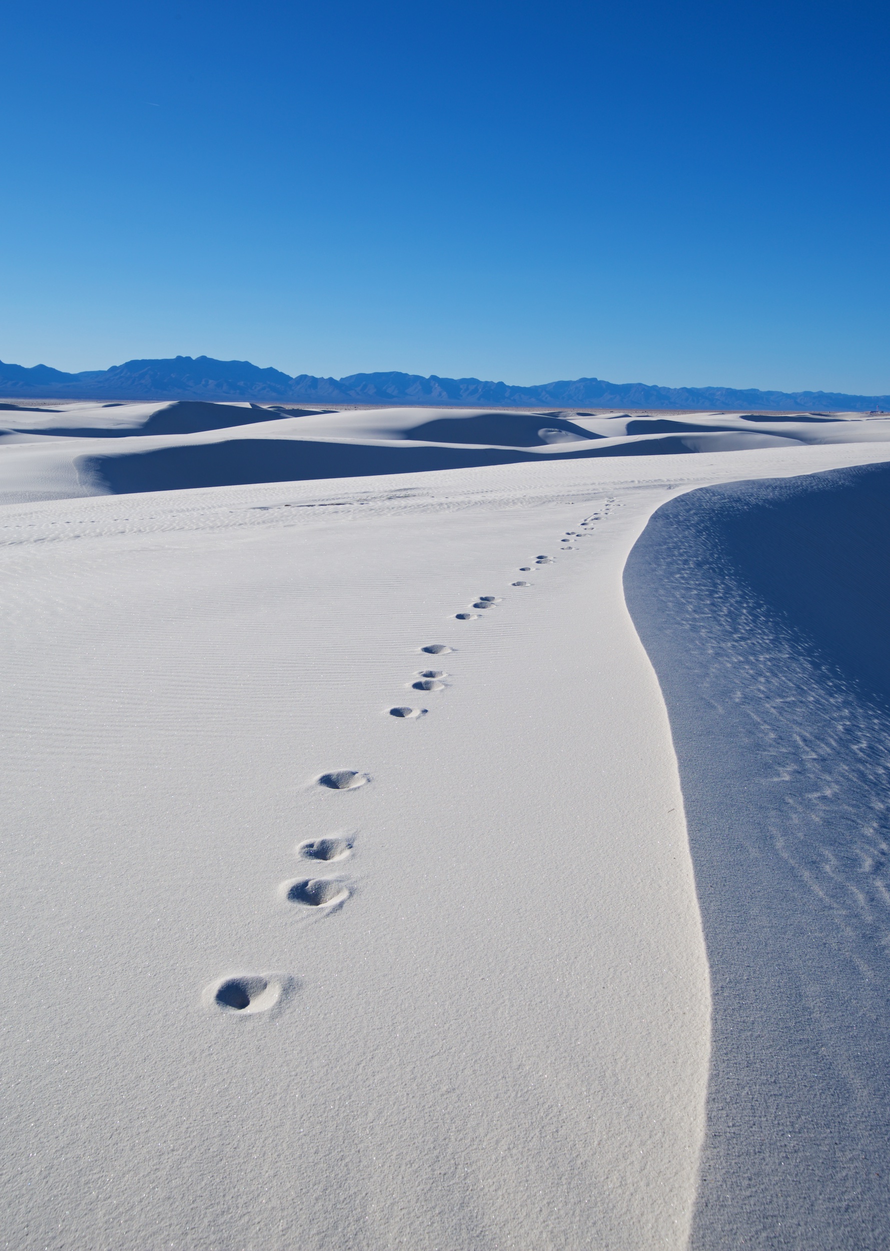 white-sands-2-24-2018-nm-84964.jpg