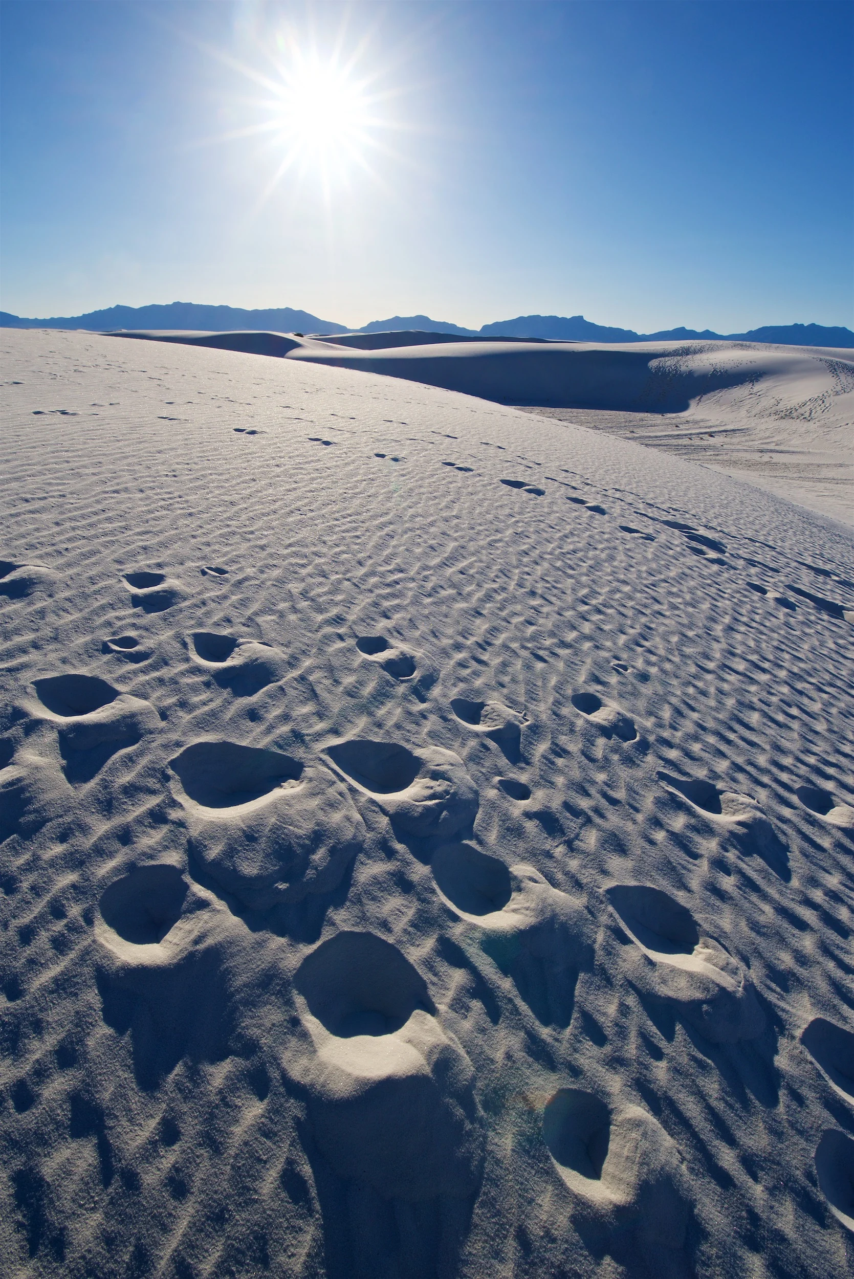 white-sands-2-24-2018-nm-85010.jpg