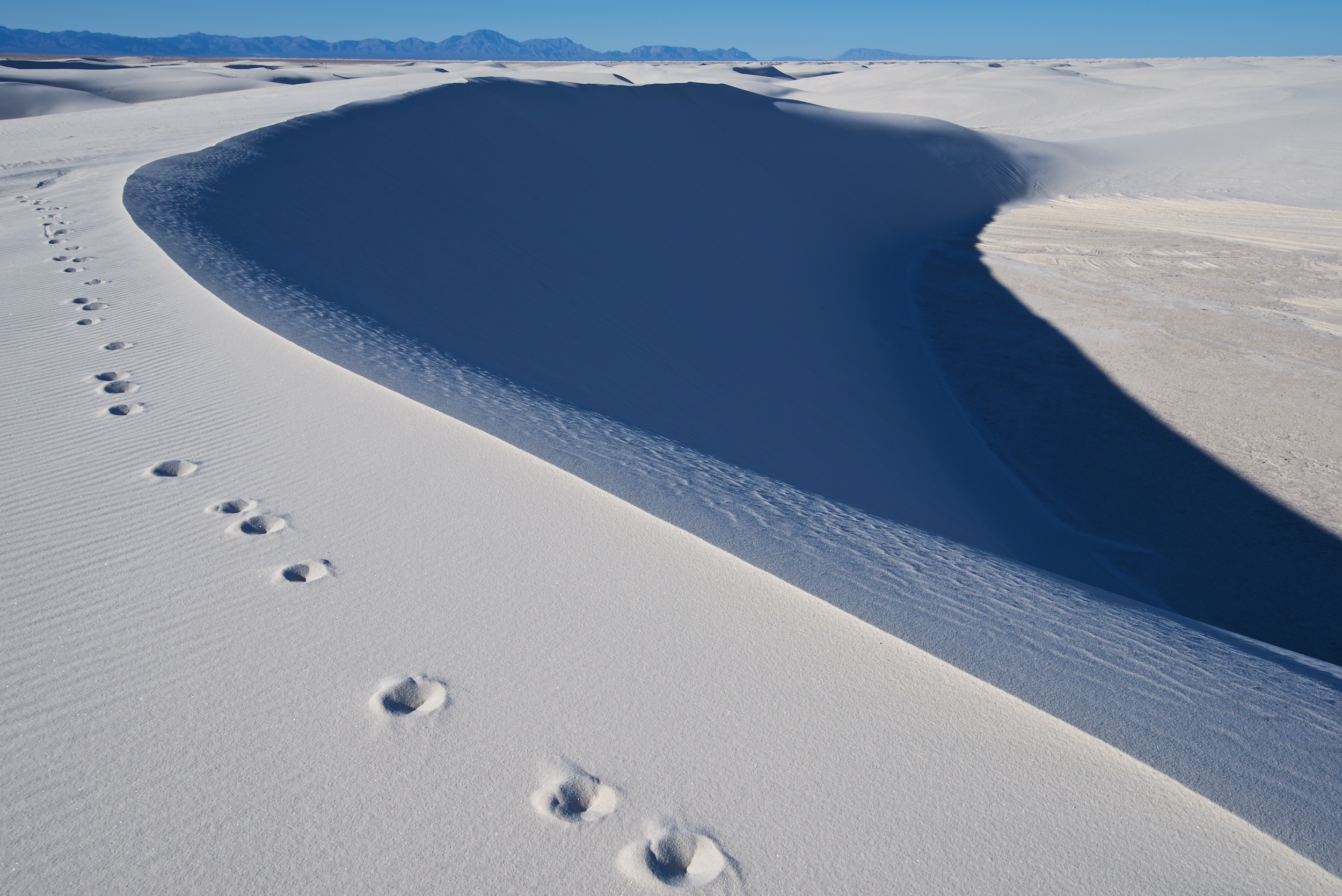 white-sands-2-24-2018-nm-84963.jpg