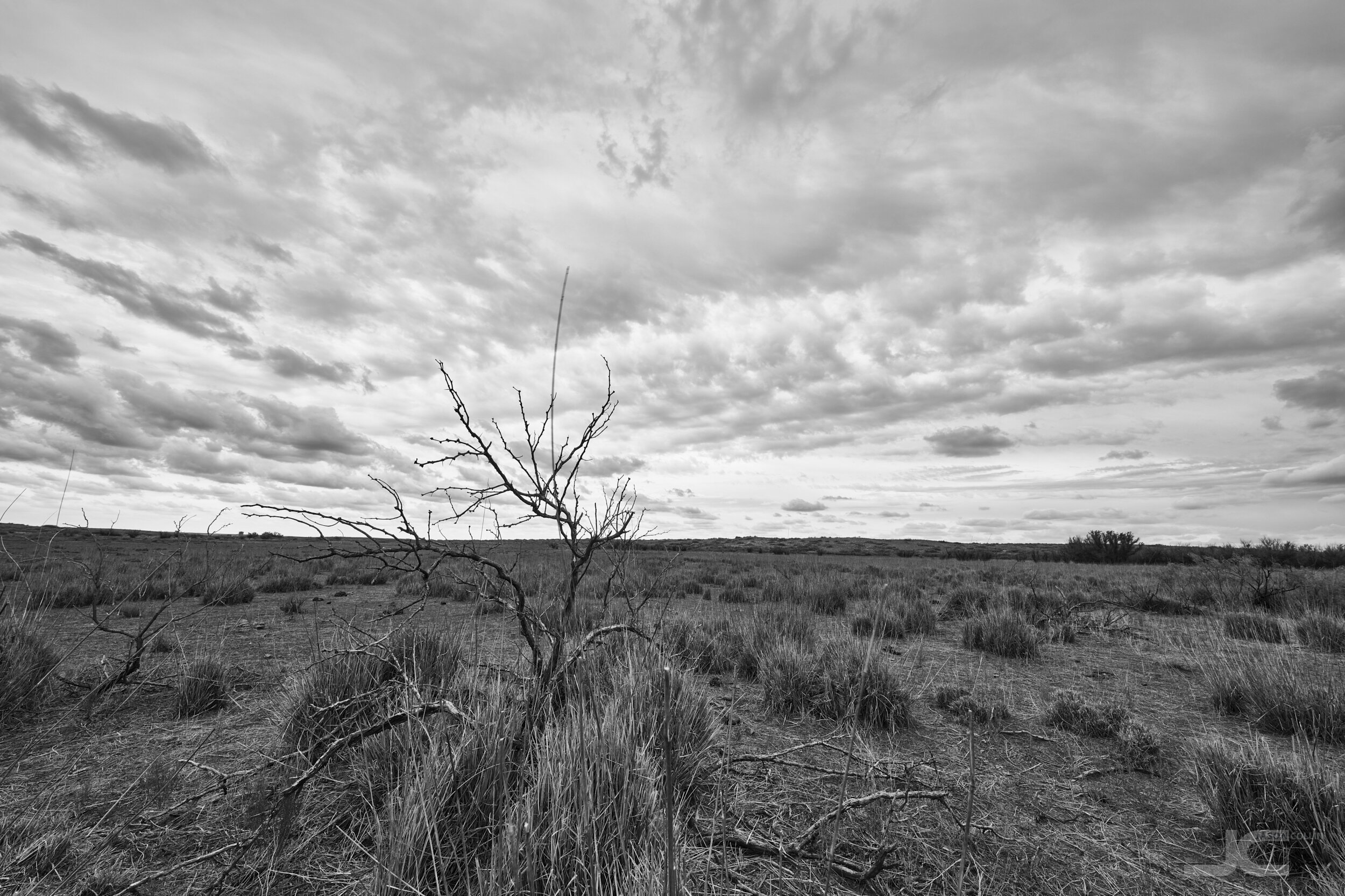 cocklebur-lake-may-30-2021-roswell-22663-bw.jpg