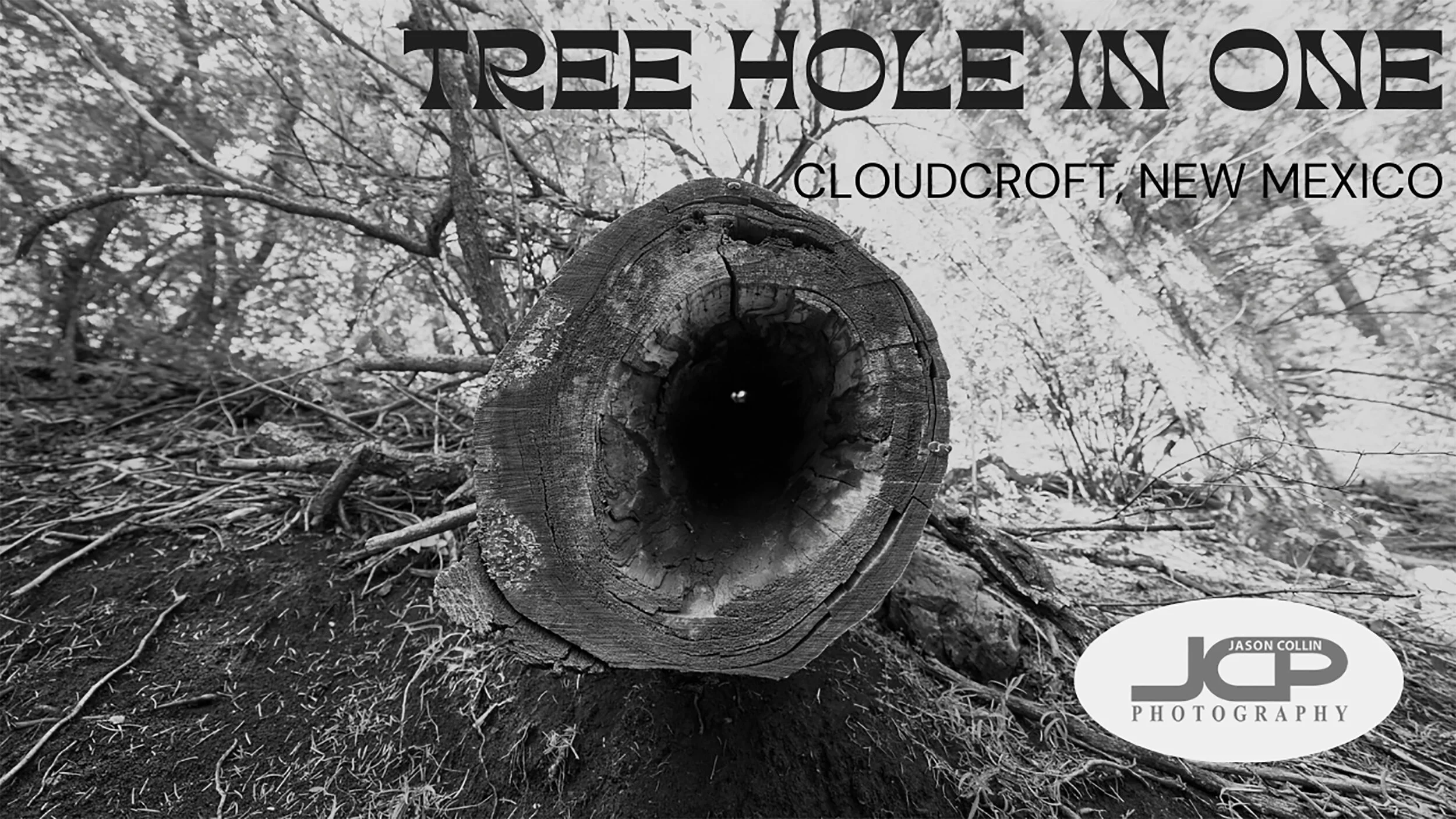 Tree hole in one in Cloudcroft Black and White Fine Art Photography