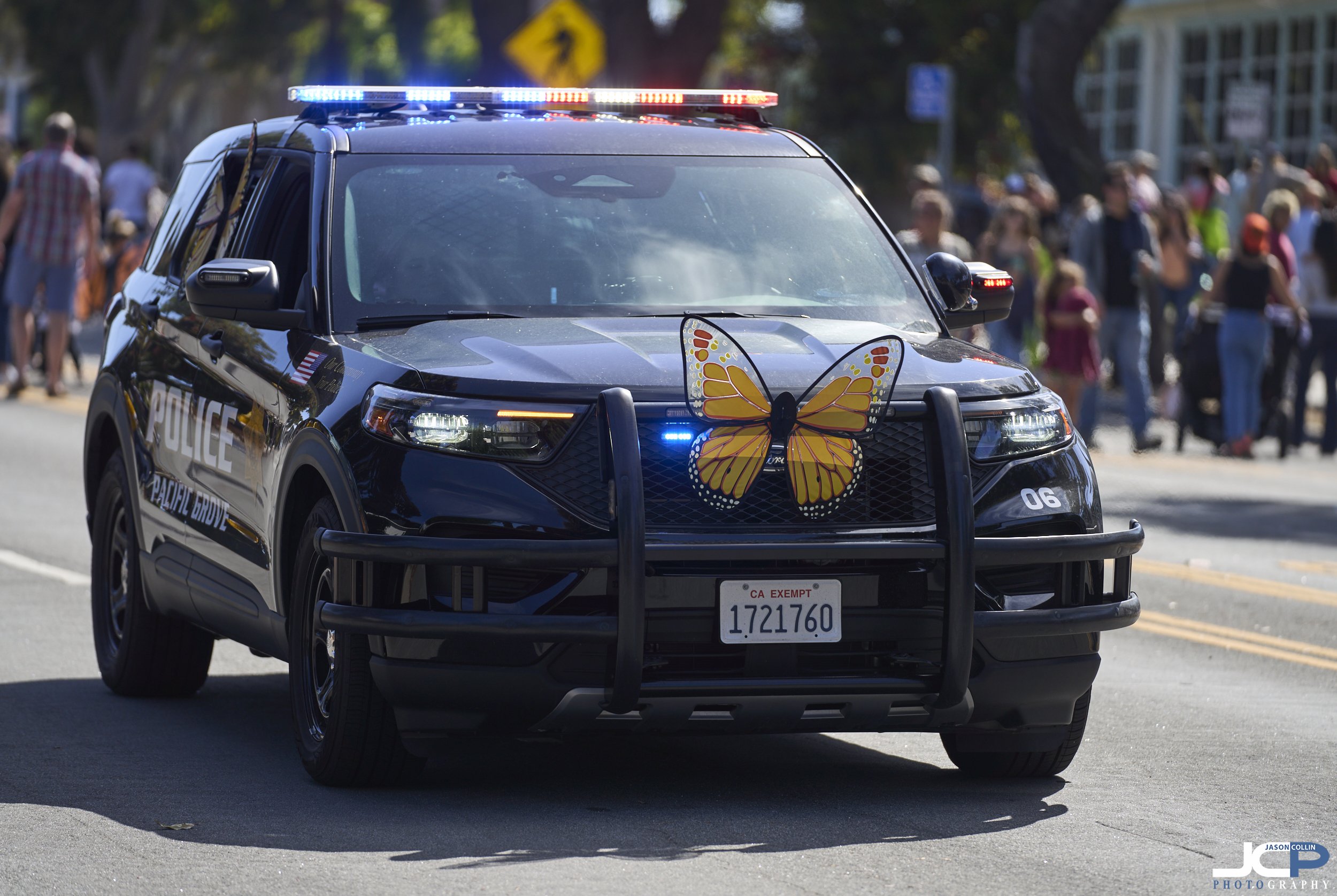 Pacific Grove Butterfly Parade 2025 Photos — Jason Collin Photography