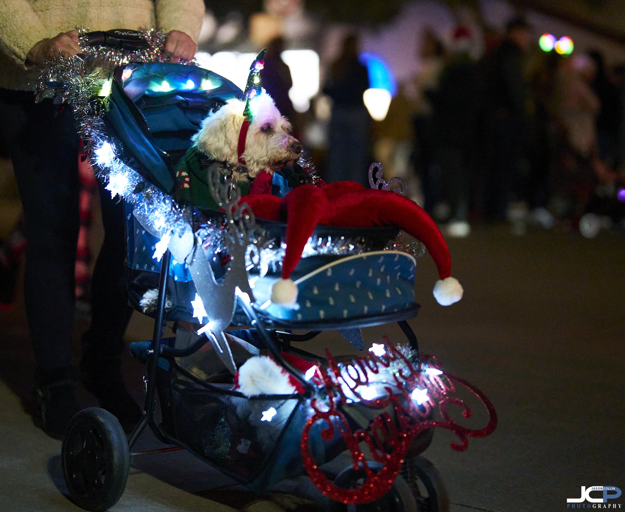 twinkle-12-05-2025-parade-pg-65184.jpg