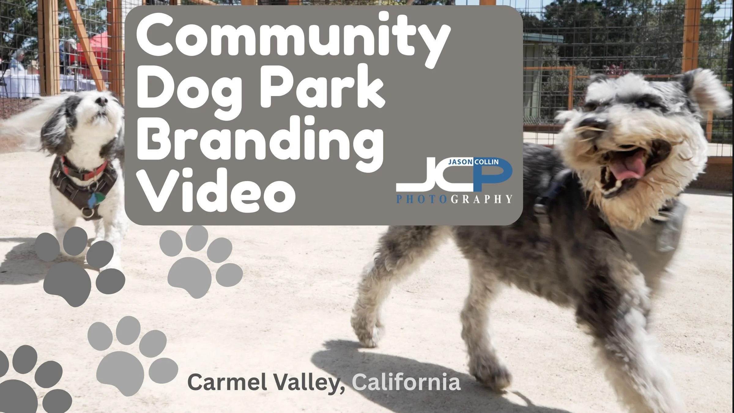 Del Mesa Carmel Dog Park Grand Opening Video