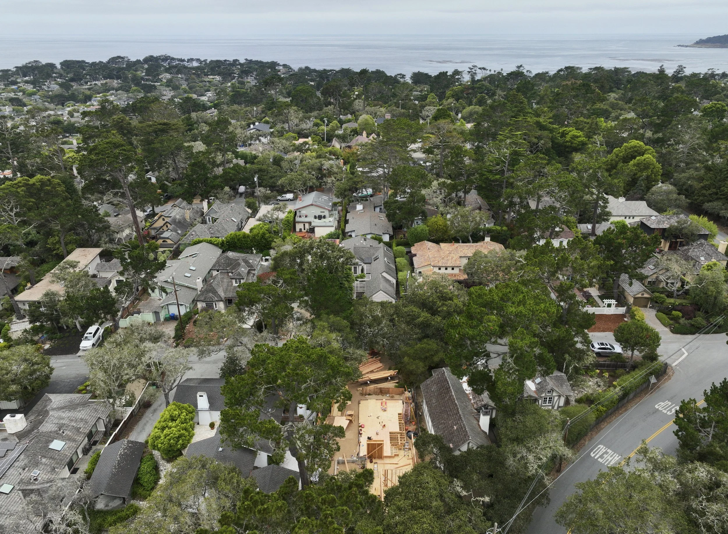 aa-6-25-2026-carmel-75446-2500px.jpg