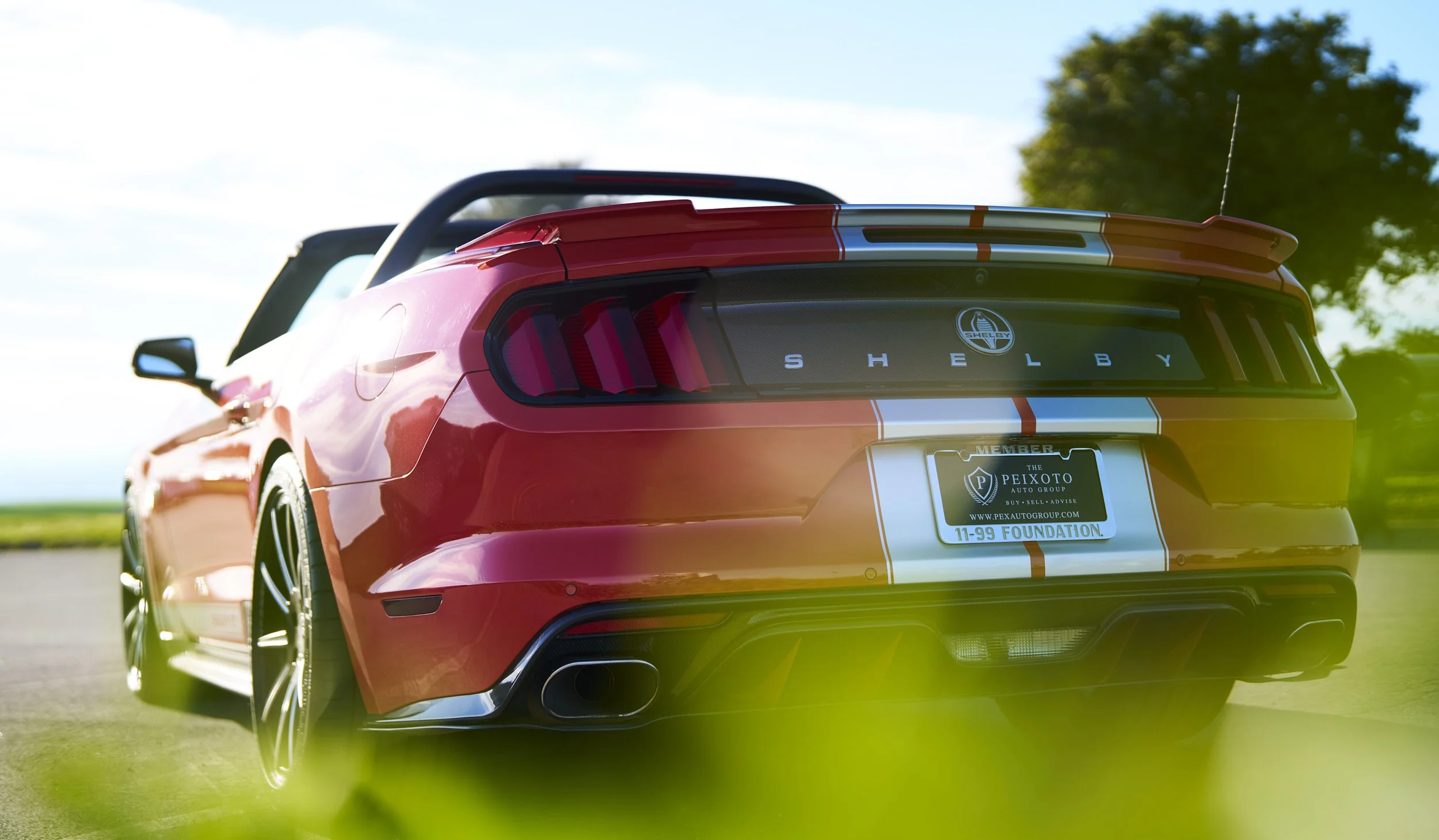 mustang-1-19-2026-brian-66350-2500px.jpg