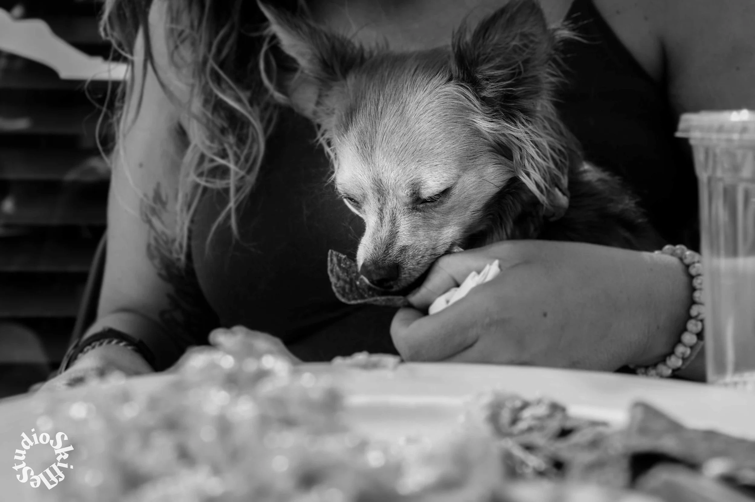 20160810-_FOT1343-2.jpg