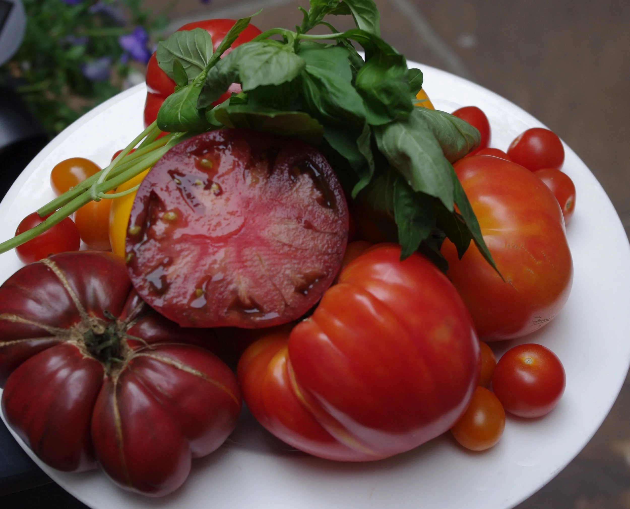 Heirloom Tomatoes Photo