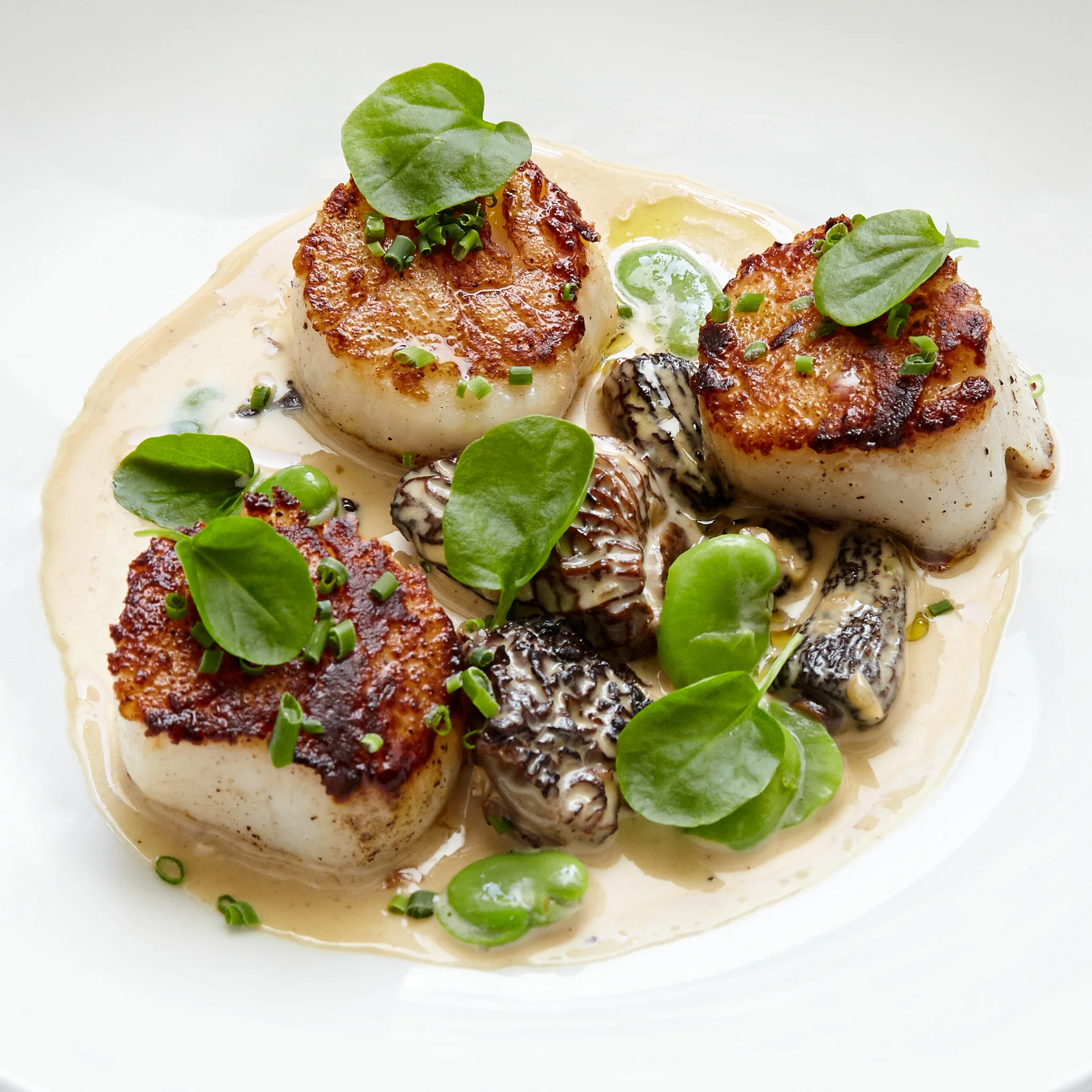 Michael's Restaurant Scallops Photo.