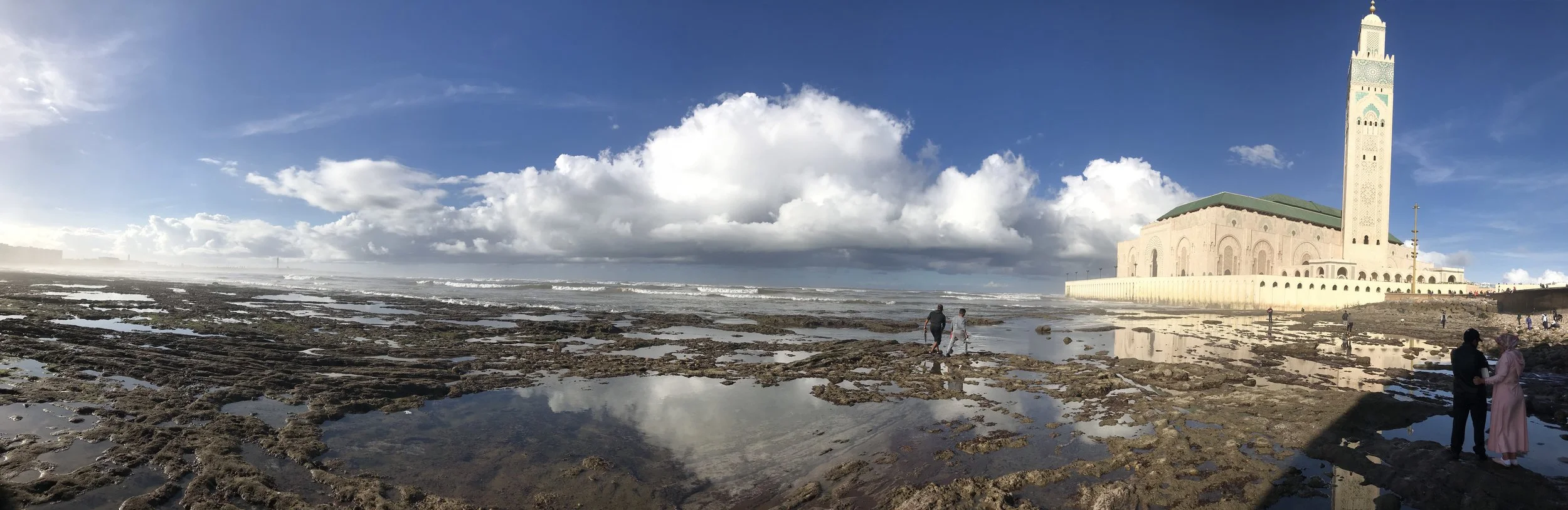 IMG_2719.JPEG