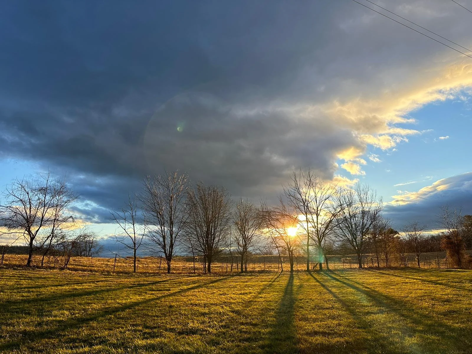 9a06a4bf-d02c-477b-b183-56f9dbb4c228.JPG