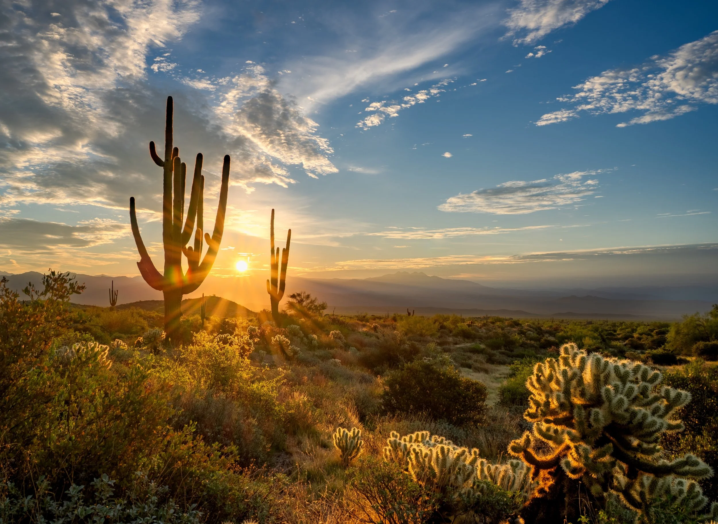 shutterstock_2200957681.jpg