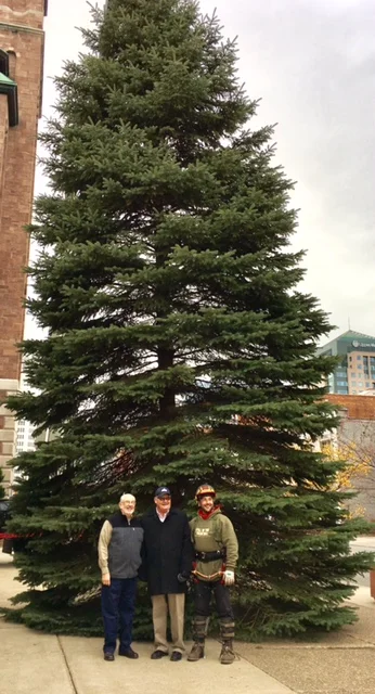XmasTree.04.jpg