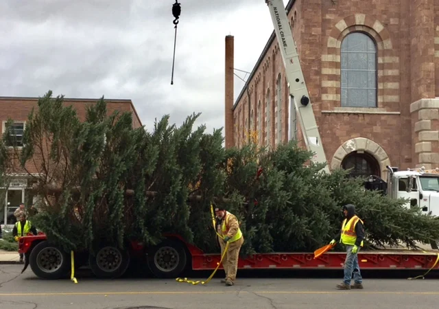 XmasTree.05.jpg