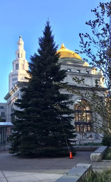XmasTree.07.jpg