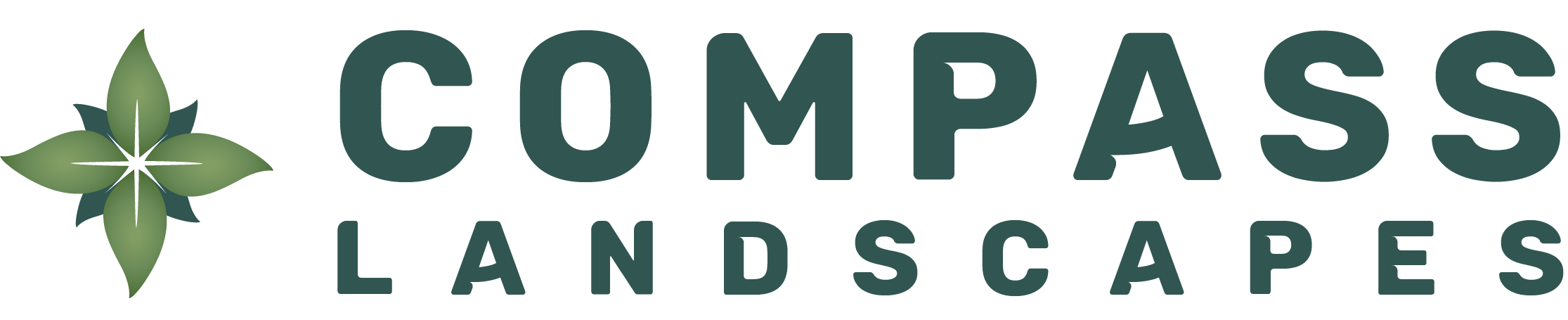Compass Logo Horizontal.png