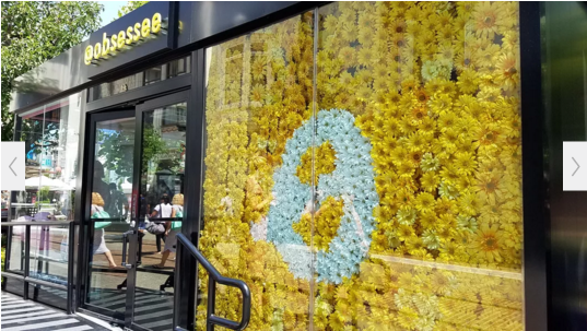 Screen Shot 2017-01-05 at 9.23.23 AM.png