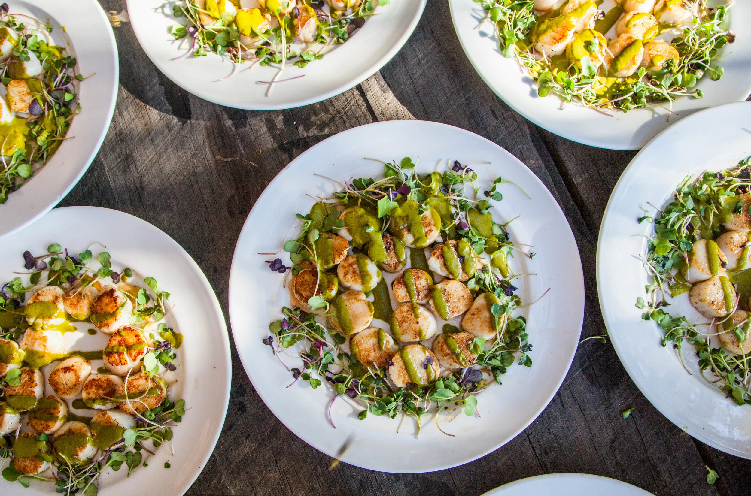 Saddlerock Ranch_2018-125.jpg